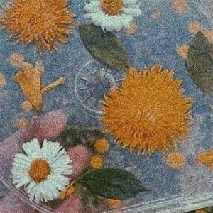 Meet your Posher, Luvy